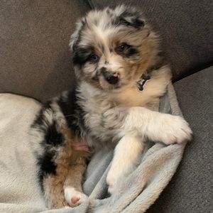 Meet your Posher, Katie